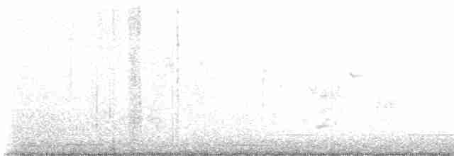 Brown-crested Flycatcher - ML562444621