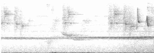 White-lored Warbler - ML562485771