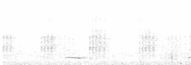 Сичик-горобець гірський (підвид hoskinsii) - ML562637301