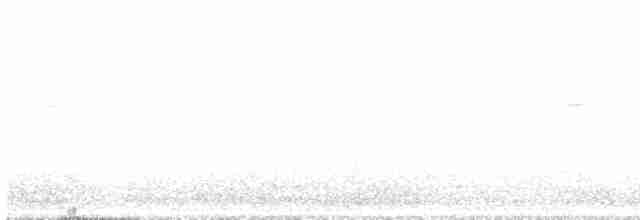 vlhovec červenokřídlý [skupina phoeniceus] - ML562637731