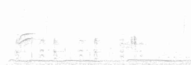 Гіла чорновола (підвид angustifrons) - ML562639311