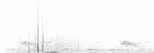 Ohrennachtschwalbe - ML562650971