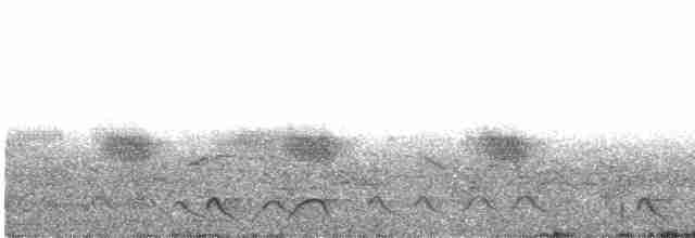 Дрімлюга плямистий - ML562730291