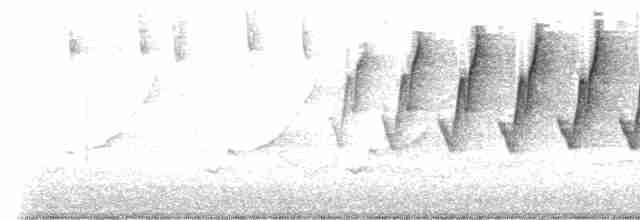 Reinita Protonotaria - ML562870381