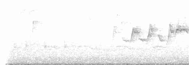 Reinita Protonotaria - ML562871231