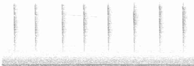 Black-chinned Hummingbird - ML562884861