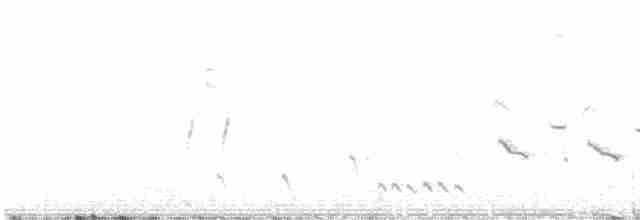 Eastern Orphean Warbler - ML562967071