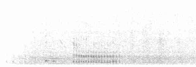 karančo jižní (ssp. cheriway) - ML562969361