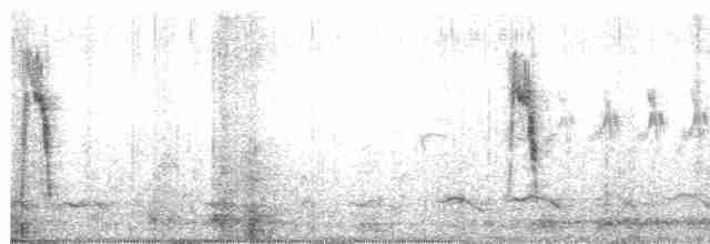 Lavandera Cetrina (de dorso gris) - ML562973481