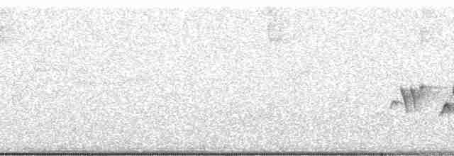 Kentucky Warbler - ML56299