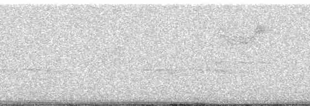 Kentucky Warbler - ML56300