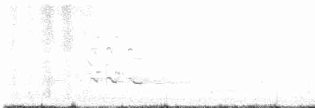 Kuliska hankahori handia - ML563024041