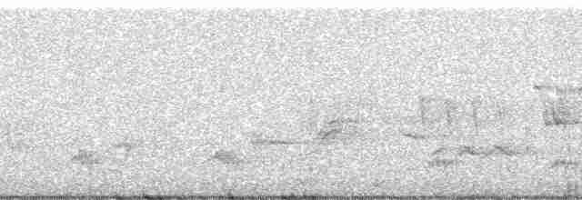 Kentucky Warbler - ML56303