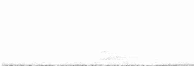 Алая/Чернокрылая пиранга - ML563105911