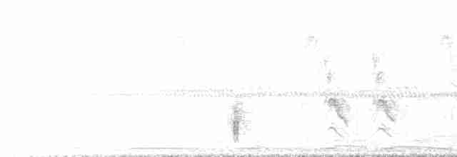Great Reed Warbler - ML563127221
