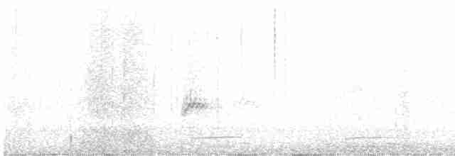 Evening Grosbeak (type 2) - ML563164281