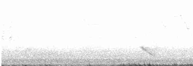Дрізд-короткодзьоб Cвенсона - ML563165731