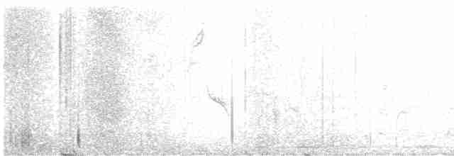 Evening Grosbeak (type 2) - ML563171111