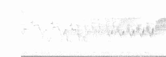 Cerulean Warbler - ML563177691