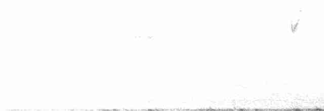 Белобровая овсянка (leucophrys/oriantha) - ML563178971