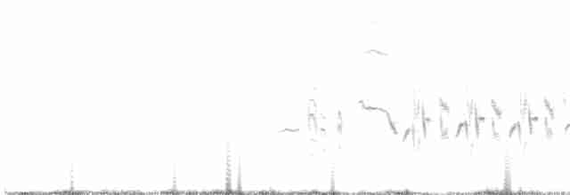 Balearengrasmücke - ML563180321