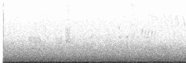 Plectrophane lapon - ML563186201
