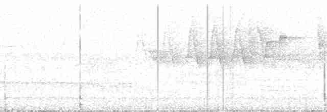 Karolina Çıtkuşu - ML56320