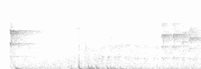 Пестрогрудый лесовик - ML563241171