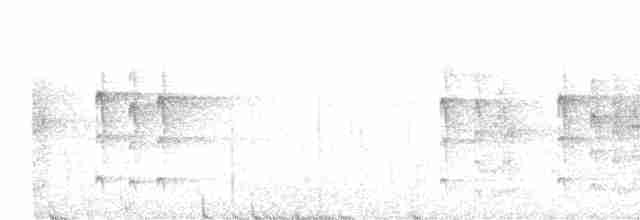 Пестрогрудый лесовик - ML563241191