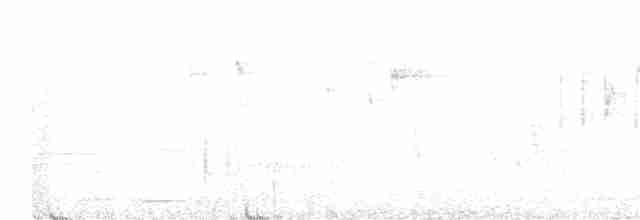 Black-cheeked Warbler - ML563241341