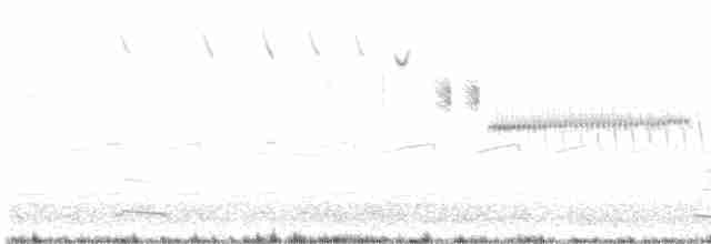 dřemlík tundrový (ssp. columbarius) - ML563257721