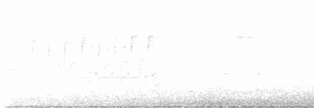 Troglodyte des marais - ML563308961
