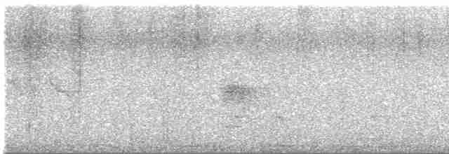 holub grenadský - ML563315861