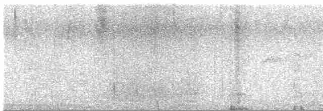 Длинноклювый улиткоед (mirus) - ML563316511