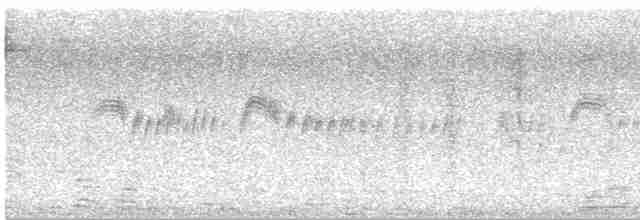 Ev Çıtkuşu (grenadensis) - ML563316961