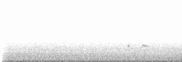 strnadec bělohrdlý - ML563320191