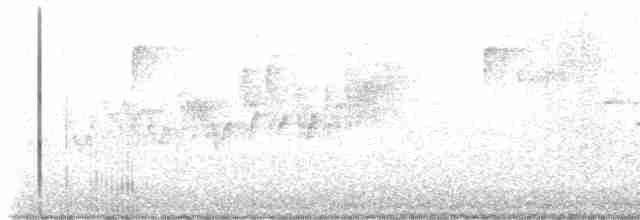 Cerulean Warbler - ML563344631