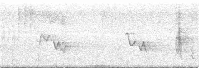 drozdec černohlavý - ML56341571