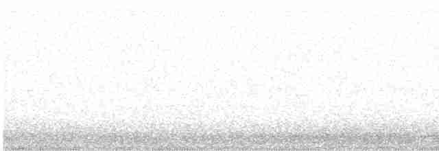 Кукушечья иглоногая сова - ML563458031