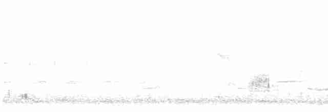 White Stork - ML563465261