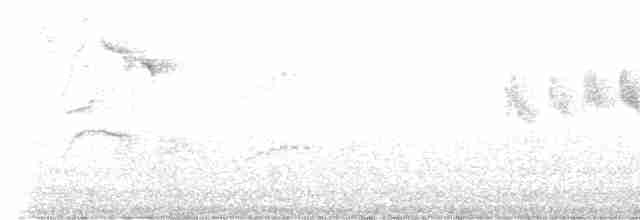 Гульдова нектарница - ML563498681