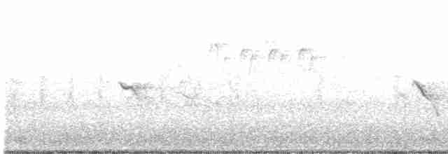 Evening Grosbeak (type 4) - ML563509961