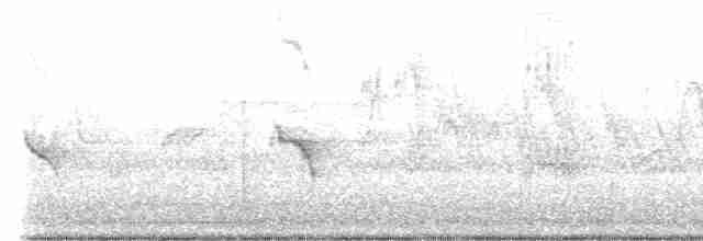 Evening Grosbeak (type 4) - ML563509971