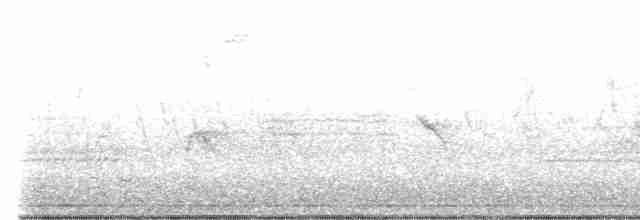 Evening Grosbeak (type 4) - ML563509981