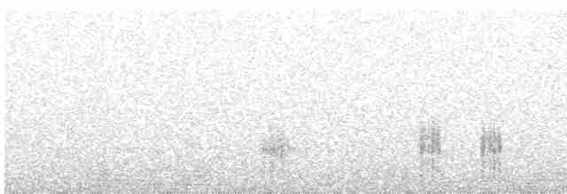 Great Reed Warbler - ML563548201