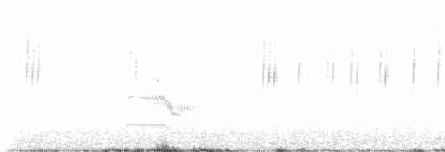 Common Tern - ML563557731