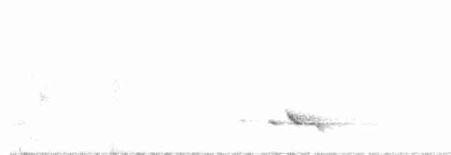 Black-headed Shrike-Babbler - ML563596261