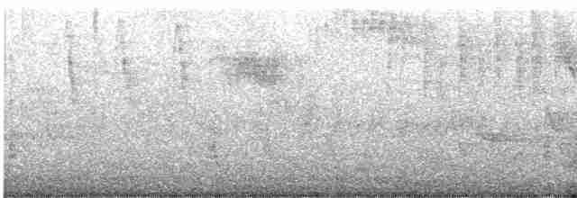 Голубокрылая червеедка - ML563613951