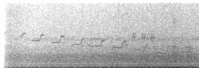 Каньонный крапивник - ML563624321