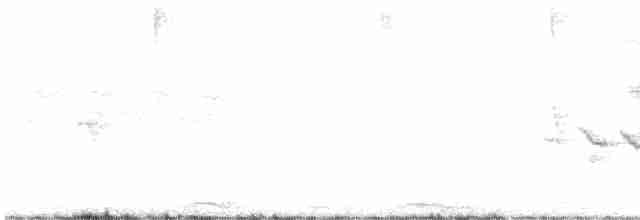 Pèrenoir de Grande Caïman - ML563628591